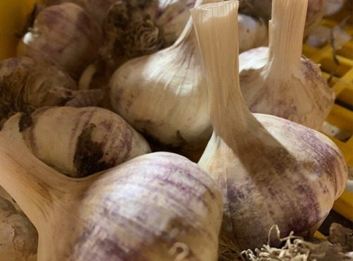ChâteauFer - Ail 1kg
