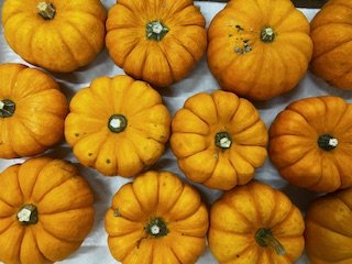 L’Oliveraie du Coudon - 4 MINI COURGES POUR HALLOWEEN ( LA JACK BE LITTLE )