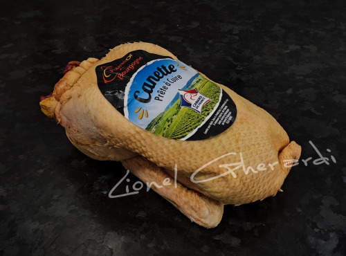 Boucherie Charcuterie Traiteur Lionel Ghérardi - Canette de Barbarie - 1700g