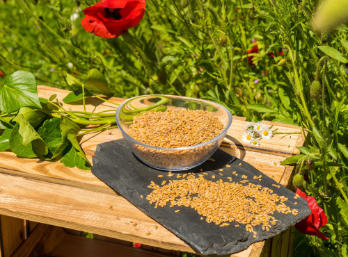 Sa Majesté la Graine - Petit épeautre origine France - 350g