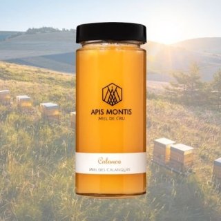 Apis Montis - Calanco - Miel des Calanques - Seau de 3kg
