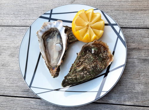 Les Huîtres du Grand Sud - Huîtres du Banc d'Arguin n°1 X 50