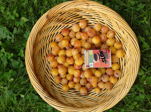 LES JARDINS DE KARINE - Mirabelle en purée surgelée - 1 kg