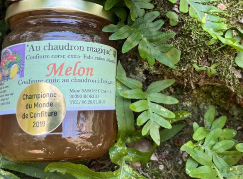 Terroirs de Corse - Confiture de Melon Corse