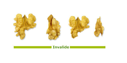 Des 2 Puys - Cerneaux de Noix Invalides - 10kg