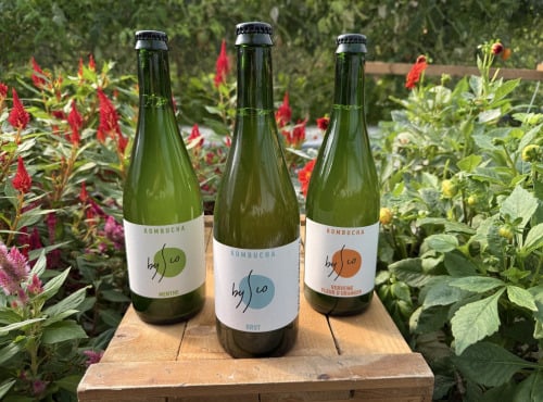 Nature et Saveurs - Ferme Aquaponique et Permacole Astérienne - Coffret Kombucha Bio Bysco - 3x75cl