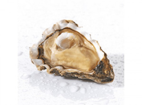 Poissonnerie Paon - Huîtres Prat-Ar-Coum N°2 : 6 huîtres