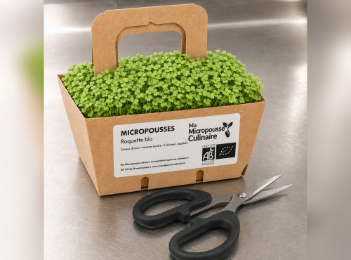 Ma Micropousse culinaire - Micro-pousses bio de roquette - 8 barquettes