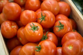 Des Poules et des Vignes à Bourgueil - Tomates rondes