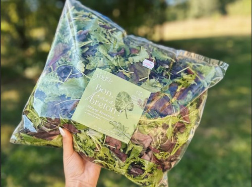 Agriloops - Assortiment de jeunes pousses de saison 500g