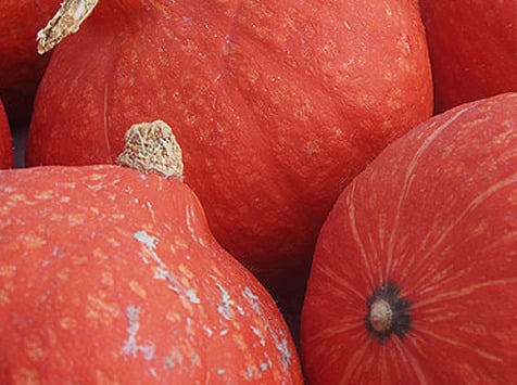 Mon Petit Producteur - Courge Potimarron Red Kuri bio [poids moyen 2.2 kg]