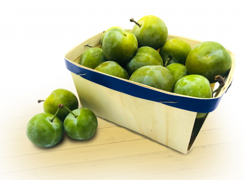 Maison du Pruneau - Cueillette du Gascon - Prunes Reine-claude Fraîches - Barquette 500g