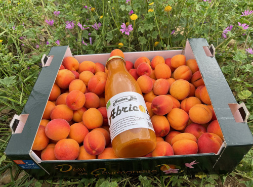 Délit de Gourmandise - Lot 3,5kg Abricots Bio et 75cl de Nectar Abricots Bio