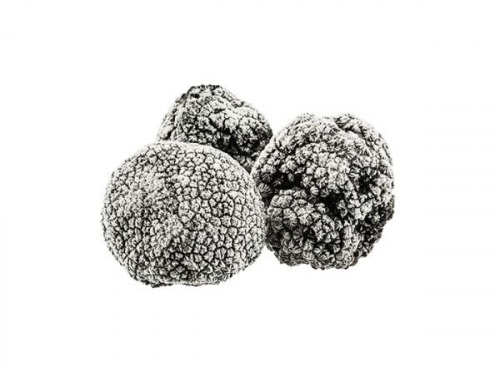 JMC TRUFFES - Brisure de truffe noire tuber melanosporum 1 kg