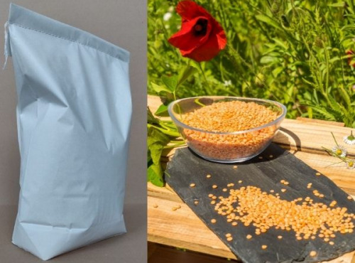 BERRY GRAINES - Lentilles Corail De France - Sac 10 Kg