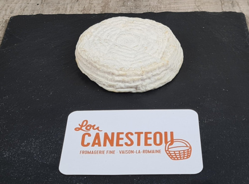 Lou Canesteou - Petit Albion brebis