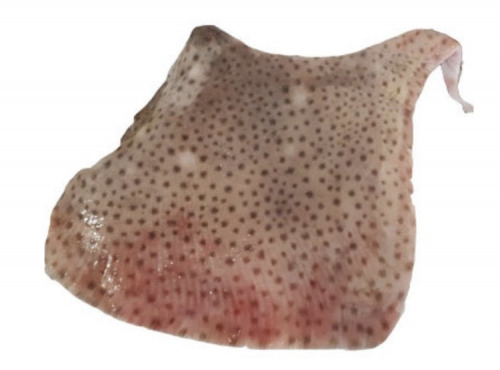 Poissonnerie La Piriacaise - Ailes de raie non pelée 3 kg