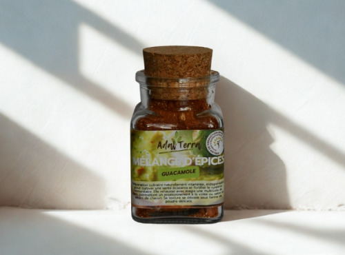 Adal Terra - Epices - Guacamole Bio 60G