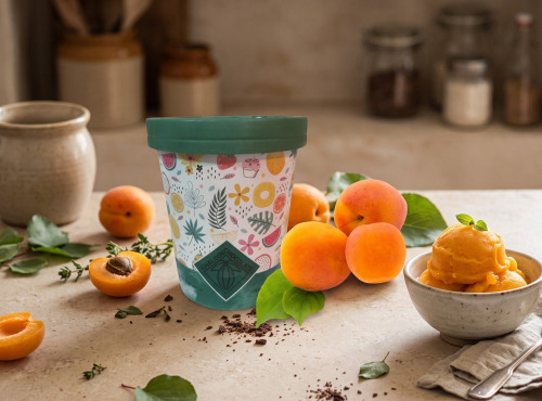 Chaloin Chocolats - Sorbet Abricot de Provence