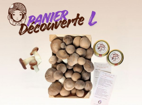 Les Myconautes - Panier Myconautes champignons bio - Taille L