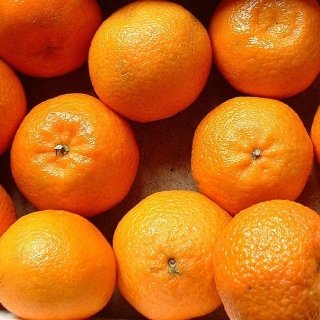 La Boite à Herbes - CLEMENTINE Corse Bio 5 kg