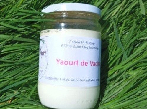 Ferme Ho'Rocher - Yaourts Nature au lait de vache 500g