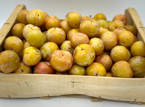 Le Panier du Producteur - Prune "Jaune"