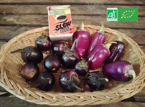LES JARDINS DE KARINE - Duo mini Aubergine et Poivron - 500g