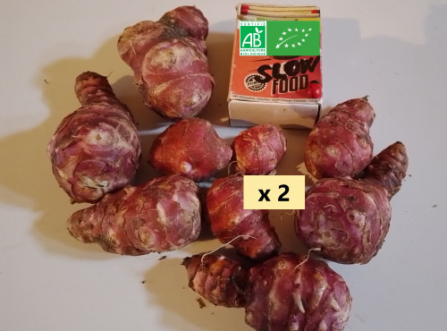 LES JARDINS DE KARINE - Topinambour rose - 1kg