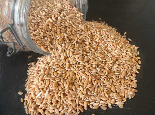 La Ferme du Joyeux Laboureur - Petit épeautre en vrac 1kg