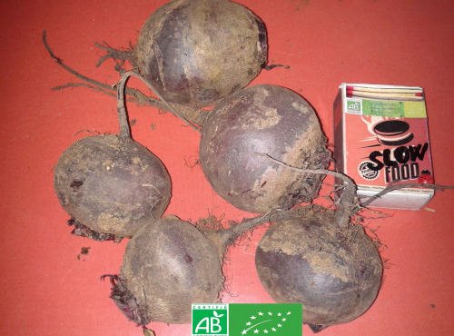 LES JARDINS DE KARINE - Betterave rouge sans feuilles - 1kg