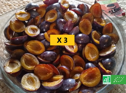 LES JARDINS DE KARINE - Quetsche violette en quartier surgelée - 3kg