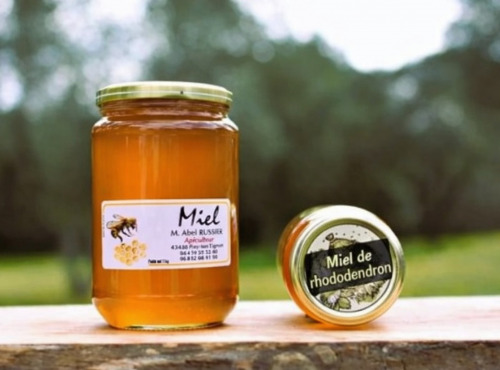 La Truite du Mézenc - Miel de rhododendron 500g