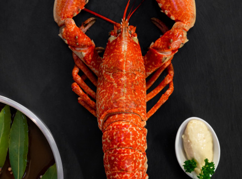 Les Huîtres du Père Gus - Homard bleu du cotentin cuit 500grs
