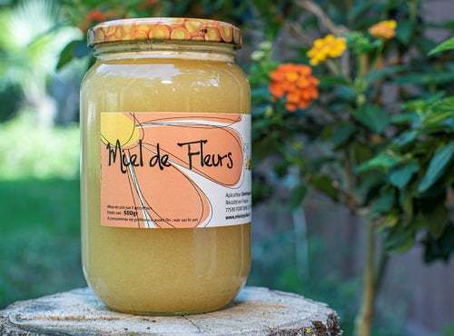 Ferme de la Paumerais - MIEL DE FLEURS (x1) - 500 Gr