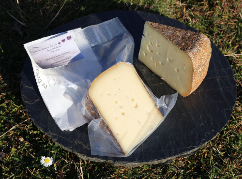 Maxime Bajas – Ferme De L’Aouda - Fromage de brebis PéDescaous – Printemps 10 mois – 500g - sous vide