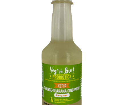 Choucroute André Laurent - Kéfir de Fruits - ORANGE GUARANA GINGEMBRE