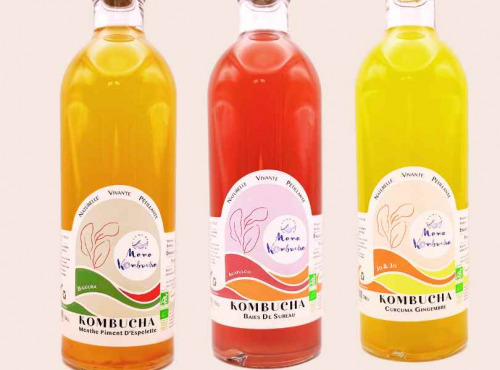 Mama Kombucha - Mama Kombucha – Coffret Découverte (3 x 70cl) – Boissons fermentées artisanales bio