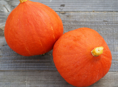 La Boite à Herbes - Potimarron Orange - 5kg