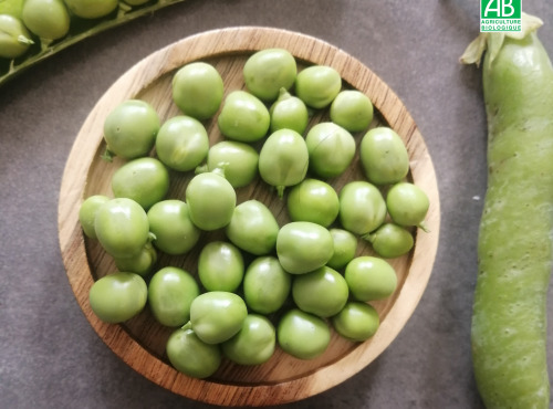 Ferme de Carcouet - Petits Pois à écosser Bio - 1 kg