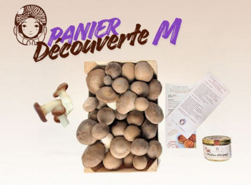 Les Myconautes - Panier Myconautes champignons bio - Taille M