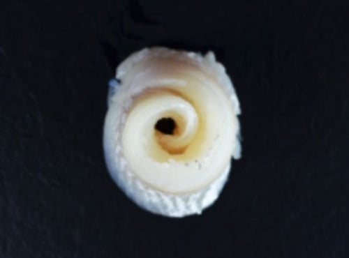 Poissonnerie Robert - Filet de Merlan 500g