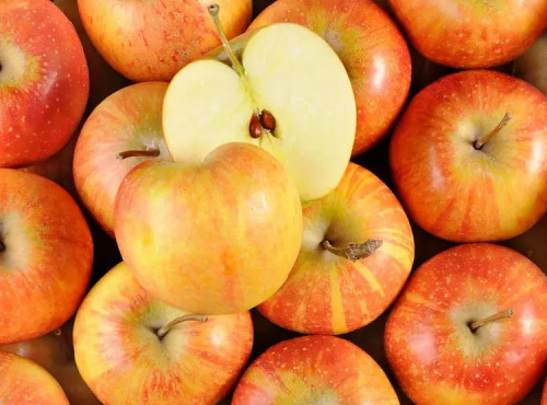 Des Poules et des Vignes à Bourgueil - Pommes Rubinette