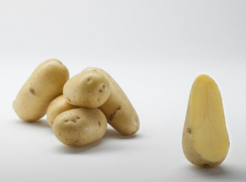 Maison Bayard - Pommes de terre Charlotte - 12.5kg