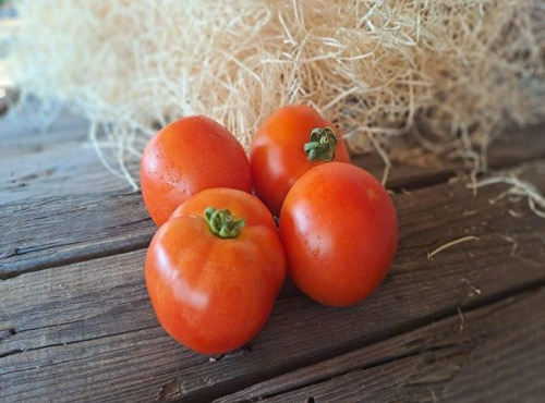 Les Jardins de Gérard - Tomate ronde rouge Bio - 500 g