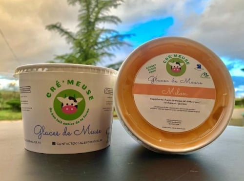 Glaces de Meuse - Sorbet Plein Fruit Melon 360g