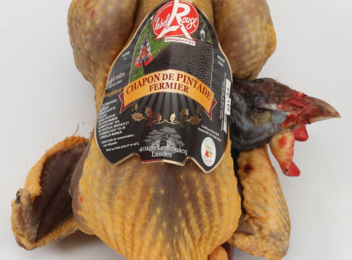 Boucherie Charcuterie Traiteur Lionel Ghérardi - [Précommande] Pintade Fermière chaponnée Label Rouge - 2000g