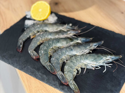 Agriloops - Gambas de Bretagne 1kg (calibre 30-50)