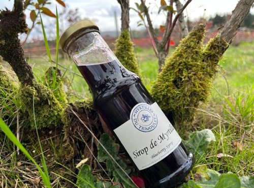 Myrtilles du Trimoulet - Sirop de Myrtilles - Petite Bouteille de 20 cL