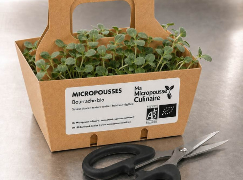 Ma Micropousse culinaire - Micro-pousses bio – Pack Finesse & Peps – Bourrache, radis, brocoli & kale – 8 barquettes